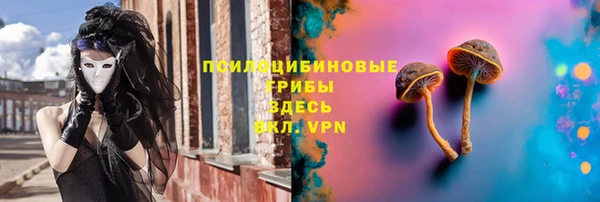 соль курить ск Алексеевка