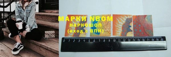 PSILOCYBIN Алзамай