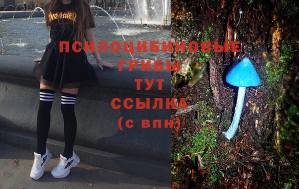 а пвп мука Алексин