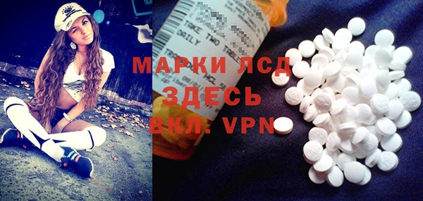 PSILOCYBIN Алзамай