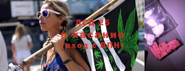 PSILOCYBIN Алзамай