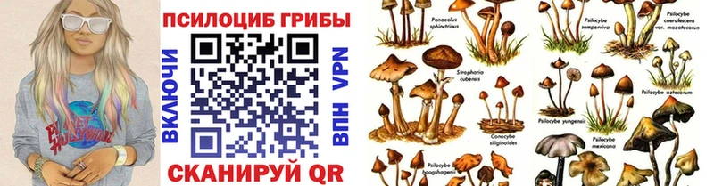 hydra ссылки  где можно купить   Ясный  Псилоцибиновые грибы Cubensis 